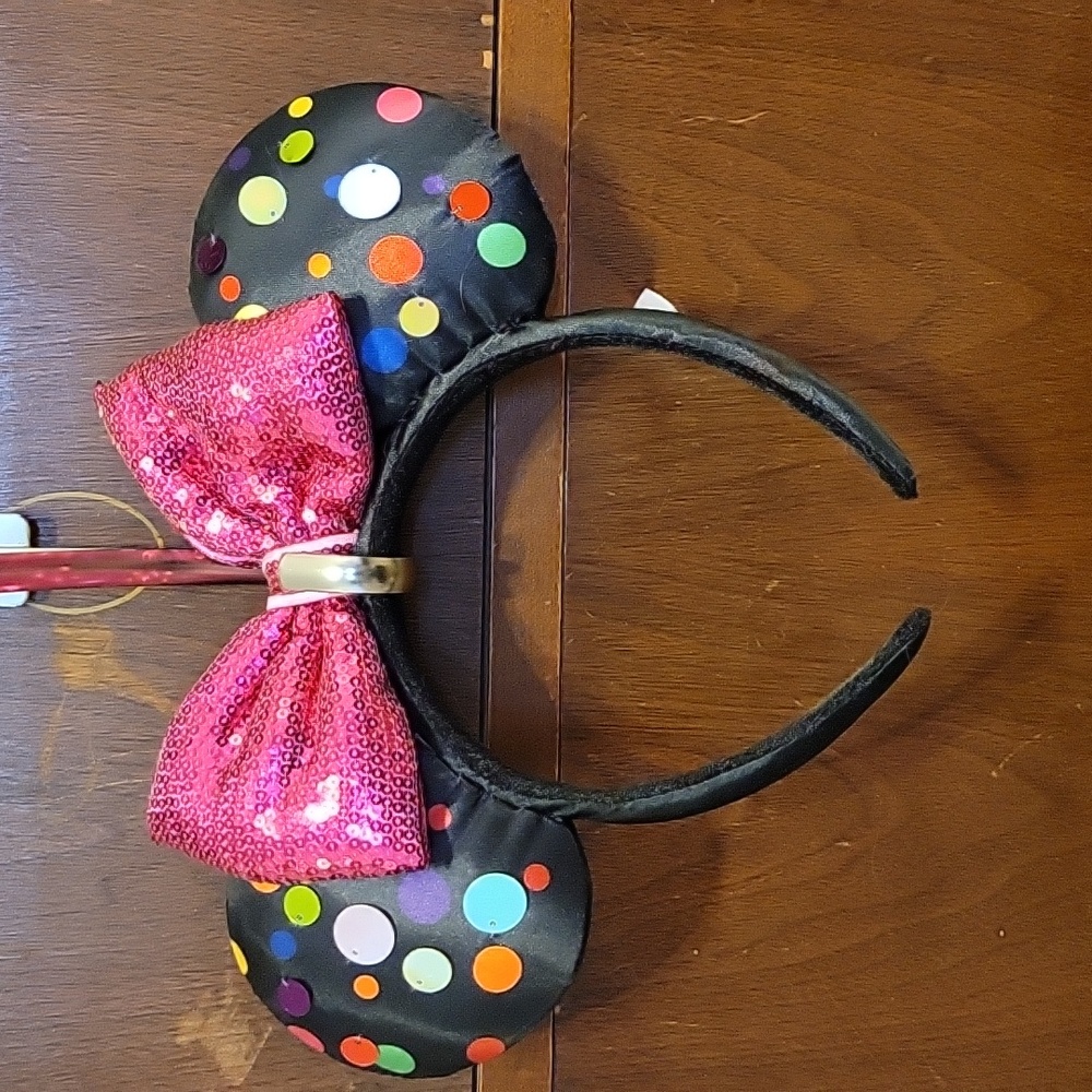 Disney Park Merchandise